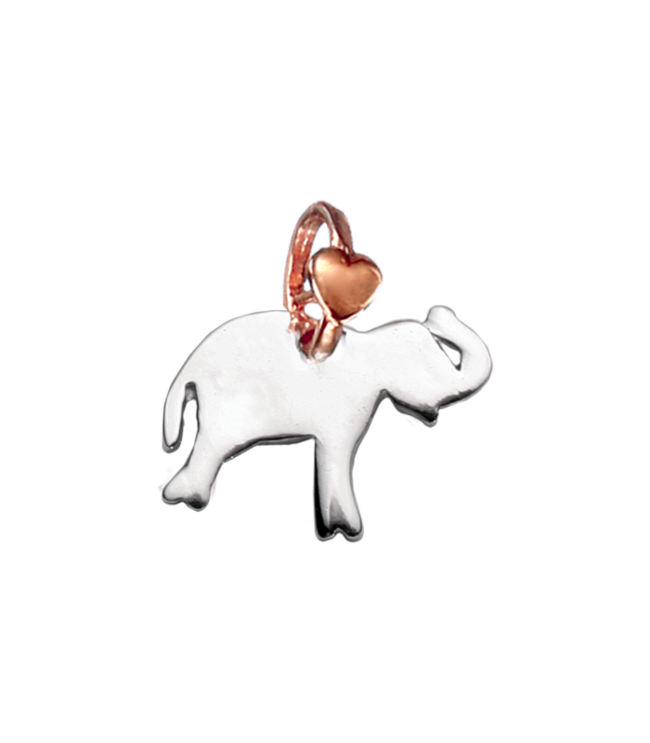 Animaletti a100k.r elefante